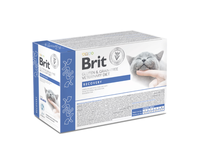 Brit VD® GF Cat Fillets in Gravy Pouches Recovery